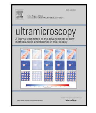 SMC 17_ultramicroscopy_Ir111